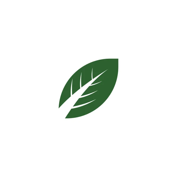 Logo Hoja Verde Natural Diseño Del Logotipo Estilo Moderno Logo — Vector de stock