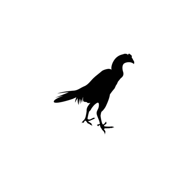 Rooster Logo Plantilla Vector Icono Ilustración Diseño — Vector de stock