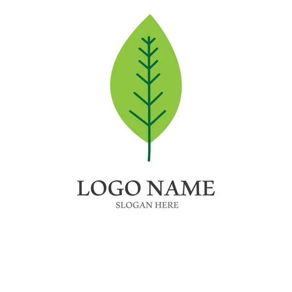 Natural Green Leaf Logo Logo Design Modern Style Logo Health — Stock Vector