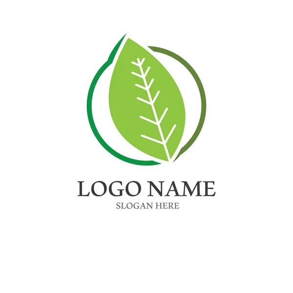 Logo Foglia Verde Naturale Logo Design Stile Moderno Logo Salute — Vettoriale Stock