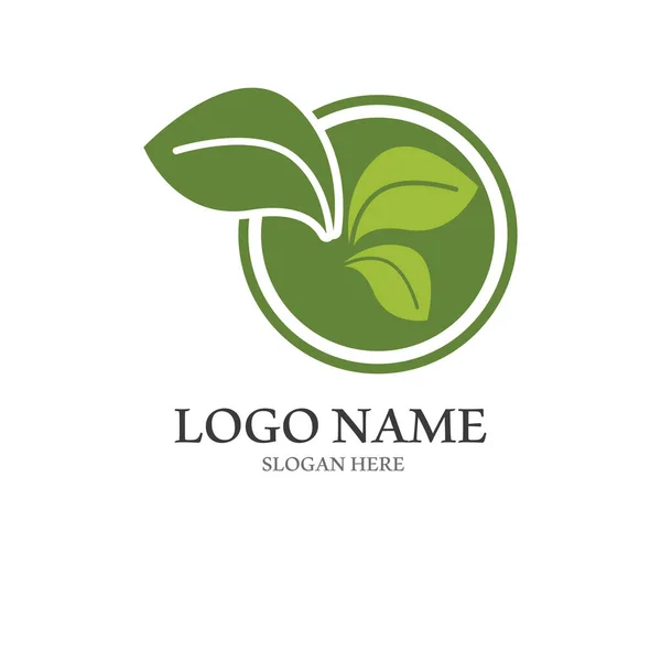 Logo Foglia Verde Naturale Logo Design Stile Moderno Logo Salute — Vettoriale Stock