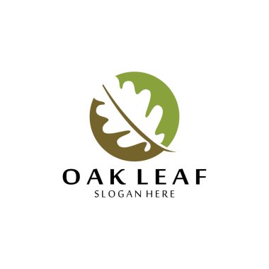 vektör meşe yaprağı logosu tasarımı