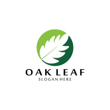vektör meşe yaprağı logosu tasarımı