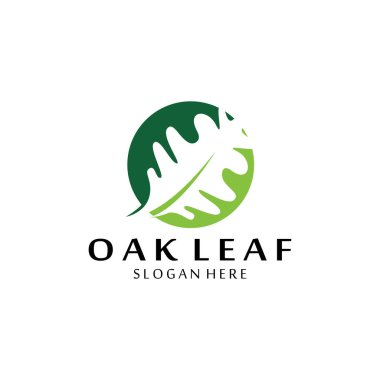 vektör meşe yaprağı logosu tasarımı