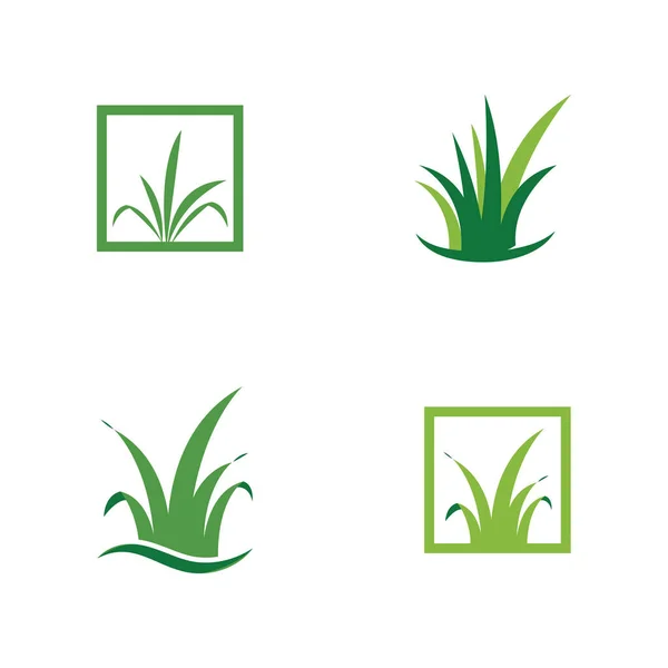 Naturligt Gräs Logotyp Design — Stock vektor