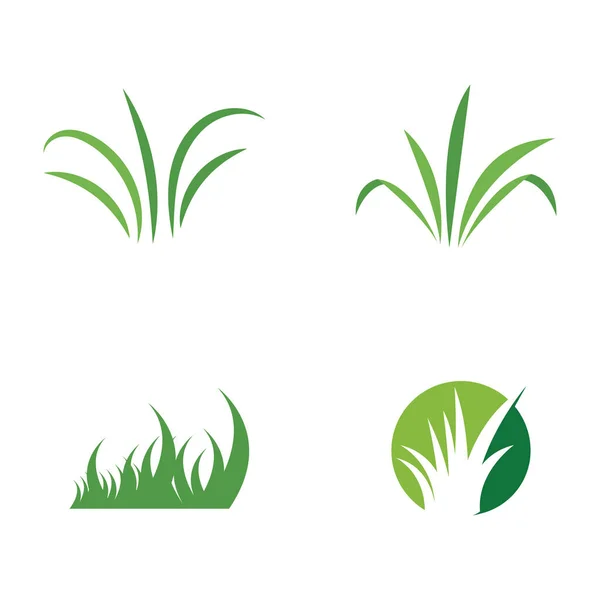 Erba Naturale Logo Design — Vettoriale Stock