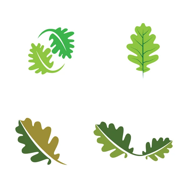 Vektor Löv Logotyp Design — Stock vektor