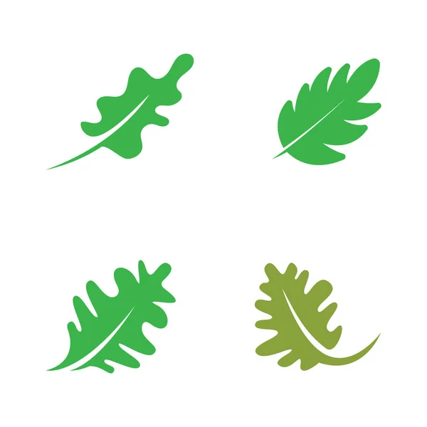 Vector Oak Leaf Logo Design — Stock Vector