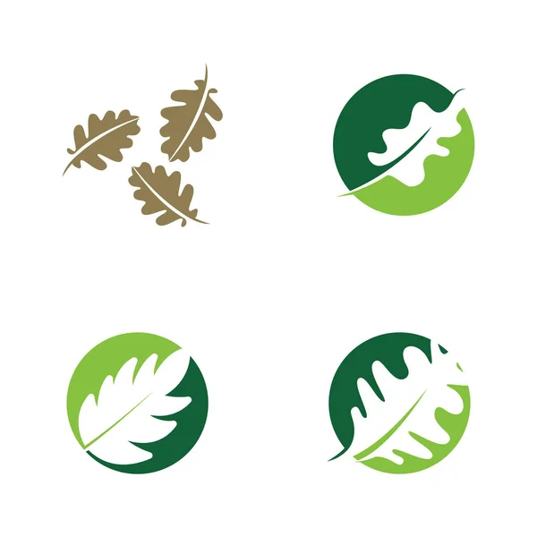 Vector Oak Leaf Logo Design — Stock Vector