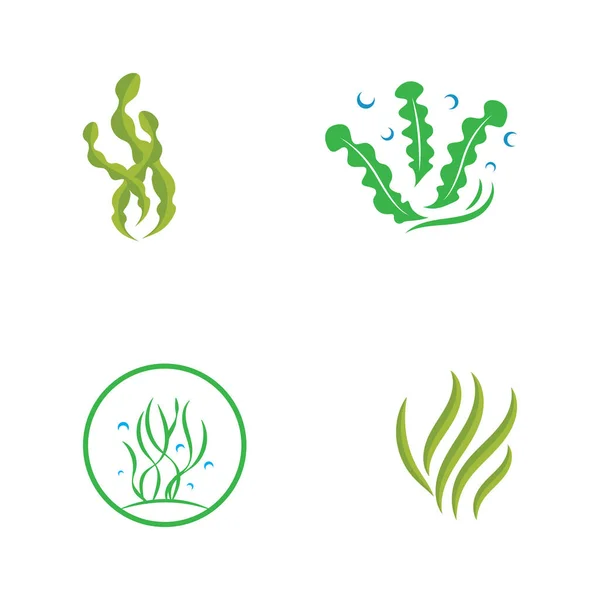 Logo Algues Design Avec Illustration Vectorielle — Image vectorielle