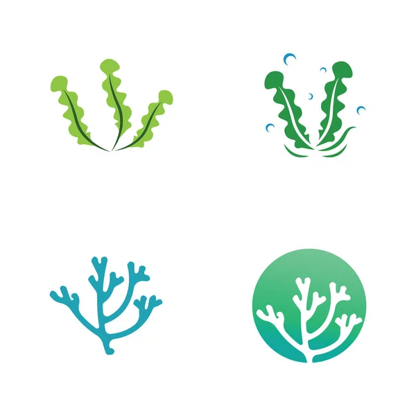 stock vector seaweed logo design with vector illustration
