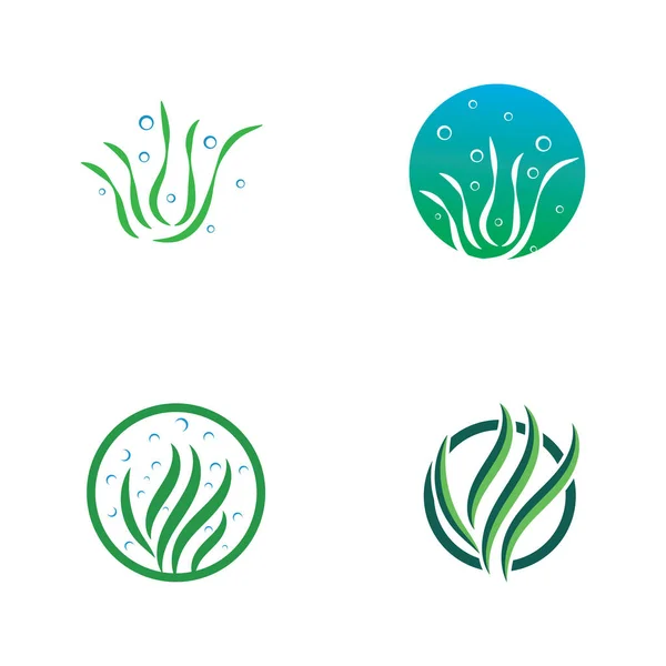 Desenho Logotipo Alga Marinha Com Ilustração Vetorial — Vetor de Stock
