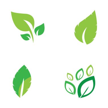 Doğal yeşil yaprak logo simgesi