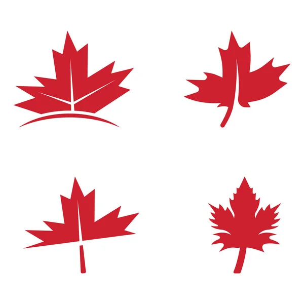 Maple Leaf Vector Illustration Design Template — Stock Vector