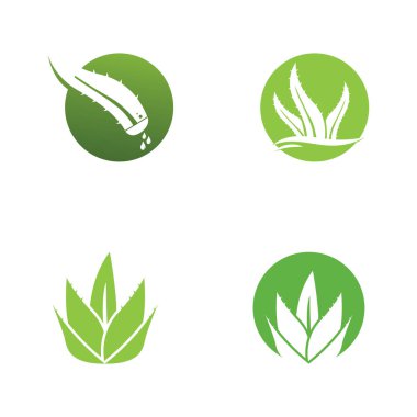 aloe vera logo design vector illustration