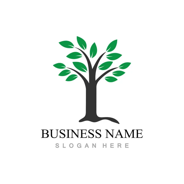 Projeto Logotipo Árvore Com Conceito Vetor — Vetor de Stock