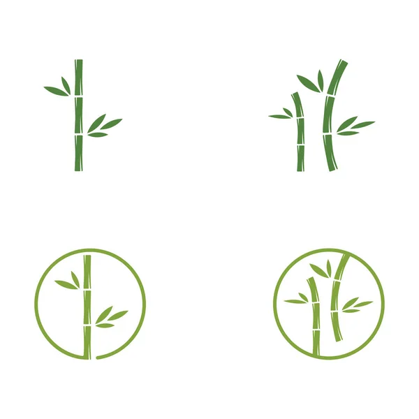Bambus Logo Șablon Vector Pictogramă Ilustrare Design — Vector de stoc