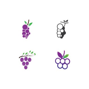Üzüm logo şablonu vektör illüstrasyon tasarımı