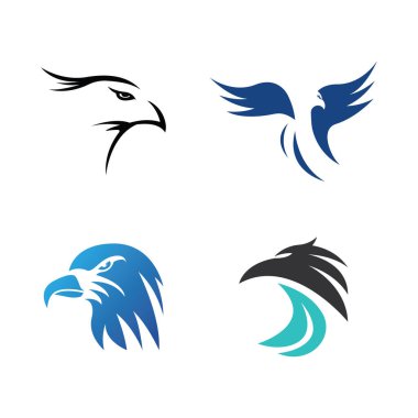Falcon Logo Şablonu vektör çizimi tasarımı