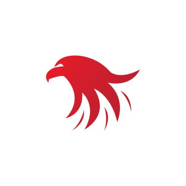 Falcon Logo Şablonu vektör çizimi tasarımı