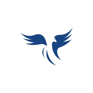 Falcon Logo Şablonu vektör çizimi tasarımı