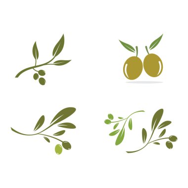 zeytin ikonu vektör çizim şablonu