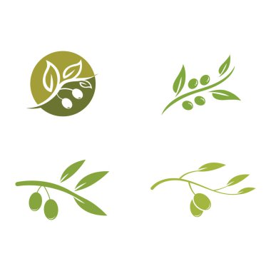 zeytin ikonu vektör çizim şablonu