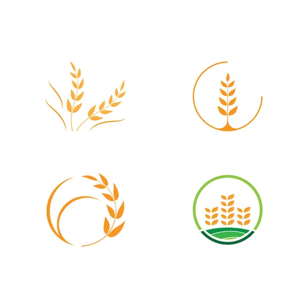 Agricultura Trigo Vector Icono Diseño — Vector de stock
