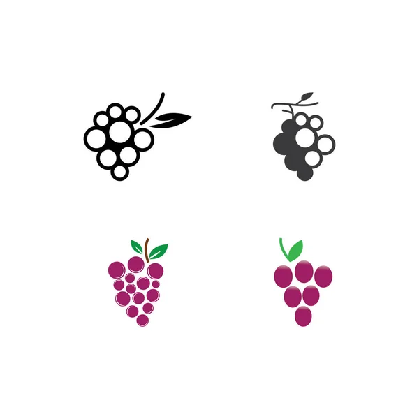 Grapes Logotyp Mall Vektor Ikon Illustration Design — Stock vektor