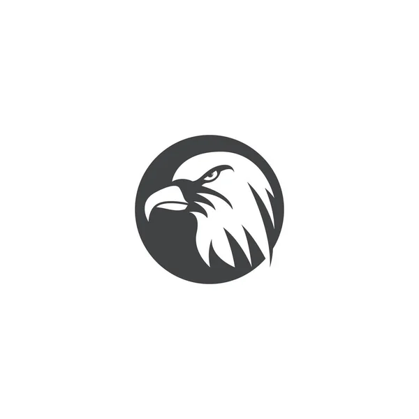 Falcon Logo Template Vetor Ilustração Design —  Vetores de Stock