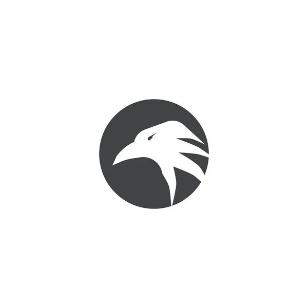 Sokół Logo Szablon Wektor Ilustracja Projekt — Wektor stockowy