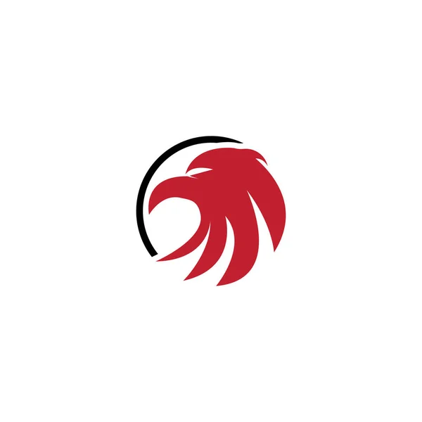 Φάλκον Λογότυπο Πρότυπο Διανυσματική Απεικόνιση Σχεδιασμό — Διανυσματικό Αρχείο