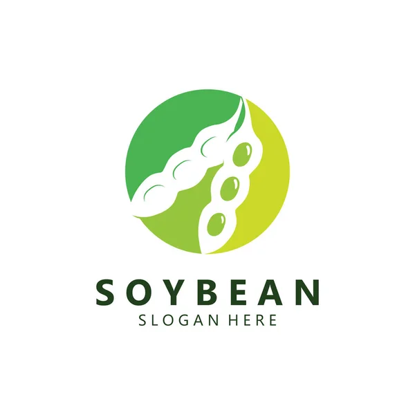 Modern Konseptli Soya fasulyesi Tasarımı. Sağlıklı Besin Simgesi Vektör İllüstrasyonu.