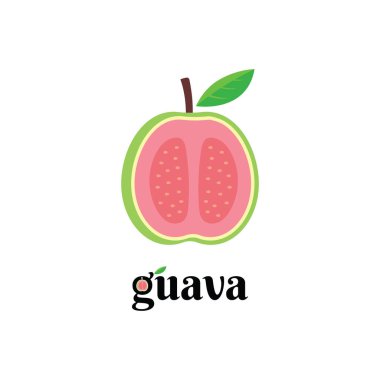 Taze Guava Meyve İllüstrasyon Vektörü Grafik Tasarımı. Meyve Ticareti ve Taze Meyve Suyu İçin Uygun.