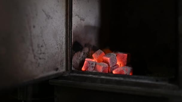 石炭を燃やして ストーブに入れた 高品質のフルHd映像 — ストック動画