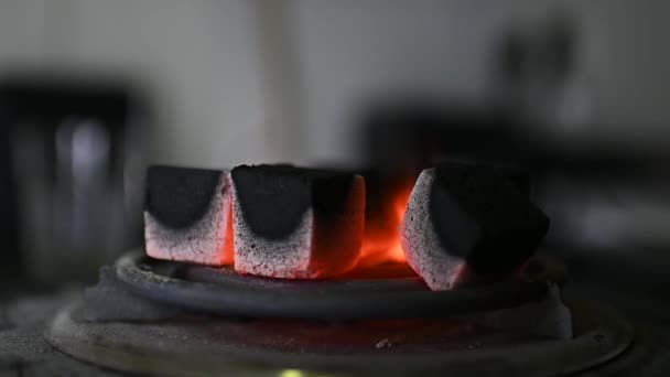 Σαλιαρίζουν Κάρβουνα Για Ναργιλέ Στη Σόμπα Υψηλής Ποιότητας Υλικό Fullhd — Αρχείο Βίντεο