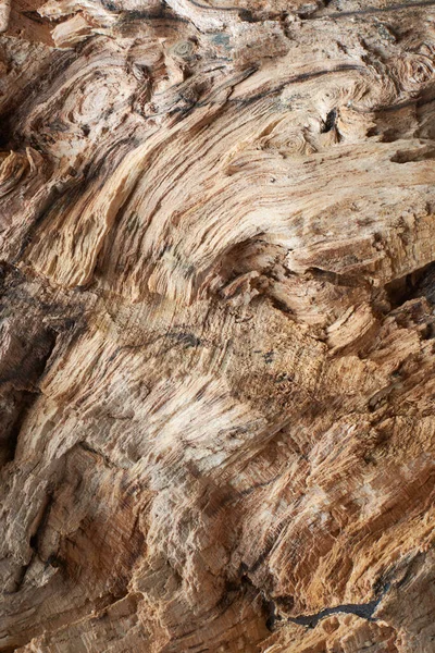 Παλιό Ξύλο Αφηρημένη Γκρο Πλαν Του Φλοιού Δέντρο Άνιση Επιφάνεια — Φωτογραφία Αρχείου
