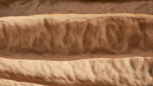 Kurumuş luffanın yakın çekim makro görüntüsü, kabak ya da Çin bamyası olarak da bilinir, bitkisel cilt dokusu, tam çerçeve