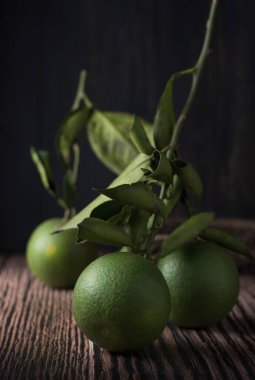 Tahta yüzeyde yeni toplanmış yeşil deri portakalları, ayrıca seville olarak da adlandırılır, kırsal arka planda yüksek C vitamini narenciye meyvesi ve fotokopi alanı