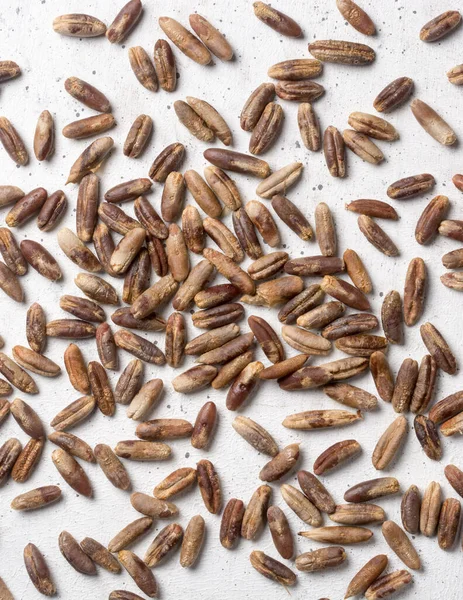 Trockene Samen Aus Frischer Dattelpalme Enthalten Viele Nützliche Nahrungsbestandteile Verstreut — Stockfoto