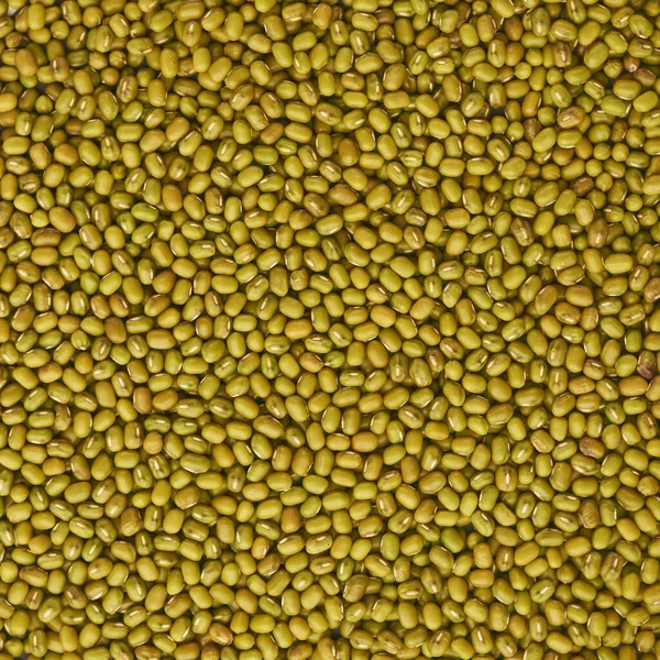 Gramo Verde Crudo Frijoles Mungo Altos Nutrientes Legumbres Grano Antioxidante — Foto de Stock
