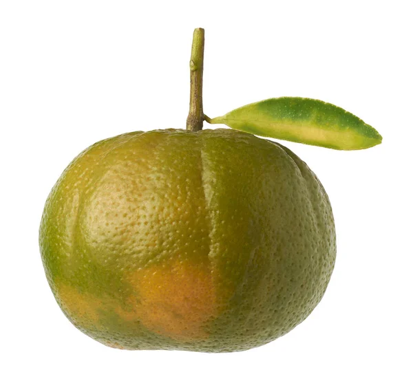 Clementine Eine Art Mandarinenorange Klein Und Leicht Schälen Zitrusfrüchte Isoliert — Stockfoto