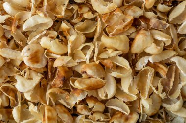 Kahve kabuğunun ya da kahve çekirdeğinin parşömen kabuğunun yakın çekimi, aynı zamanda endocarp olarak da bilinir, kahve çekirdeğinin etrafındaki kağıt tabaka, kiraz hamurundan arta kalan, yıkanan ve kurutulan, tam çerçeve.