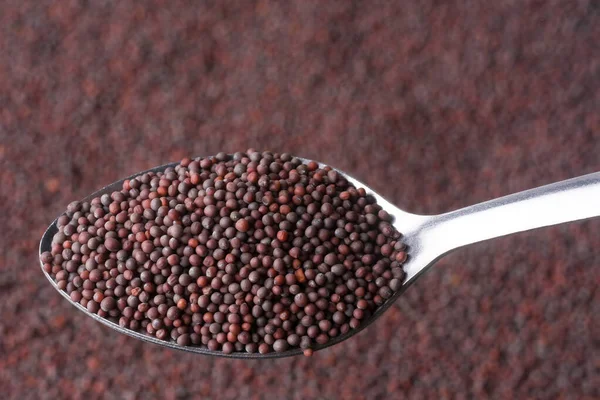 Kaşık Içinde Kurumuş Kahverengi Hardal Tohumları Küçük Yuvarlak Sağlıklı Baharat — Stok fotoğraf