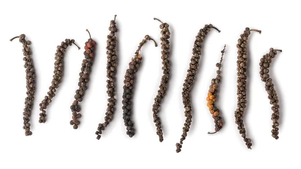 dried black peppercorns, dry black pepper fruits or drupes isolated on white background, spicy and seasoning ingredient