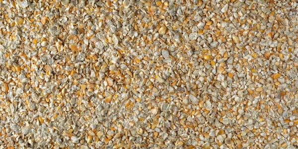 鸡皮疙瘩 鸡饲料由破碎的玉米和其他谷粒组成 这些谷粒是鸡群能量的重要来源 有完整的框架背景 — 图库照片