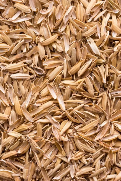 Reissamen Schale Auch Bekannt Als Gelbe Reisspreu Reisschale Oder Reishülle — Stockfoto