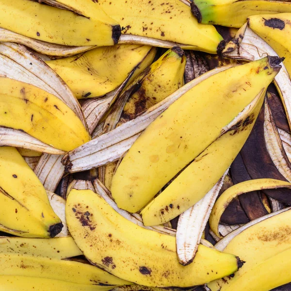Bliska Widok Skórki Bananów Kupa Odpadów Żywnościowych Stosowanych Jako Naturalny — Zdjęcie stockowe
