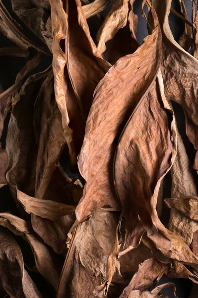 stock image close-up abstract of dried dead leaves or foliage, full frame background