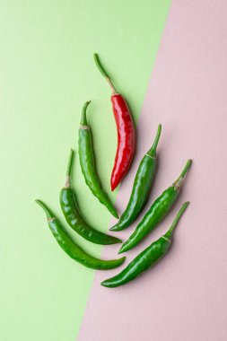 Baharatlı tatları için kullanılan yeşil ve kırmızı biberler açık yeşil ve pembe arka planda, olgun ve olgunlaşmamış yaygın sebzeler.